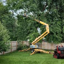 Best Tree and Shrub Care  in Brandywine, MD