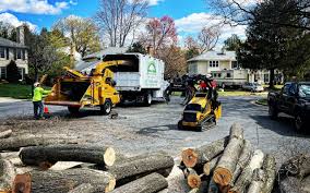 Best Tree Preservation Services  in Brandywine, MD